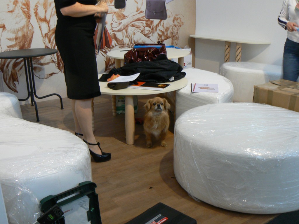 Przydotowania w showroomie